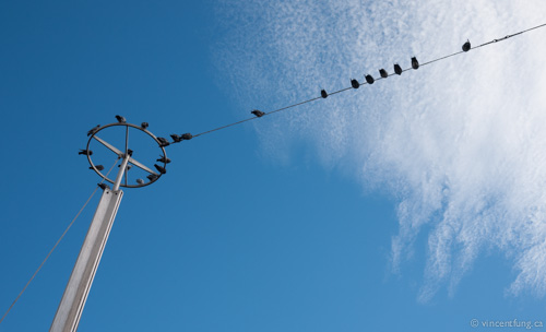 Eeny, meeny, miny, moe… making data-backed decisions